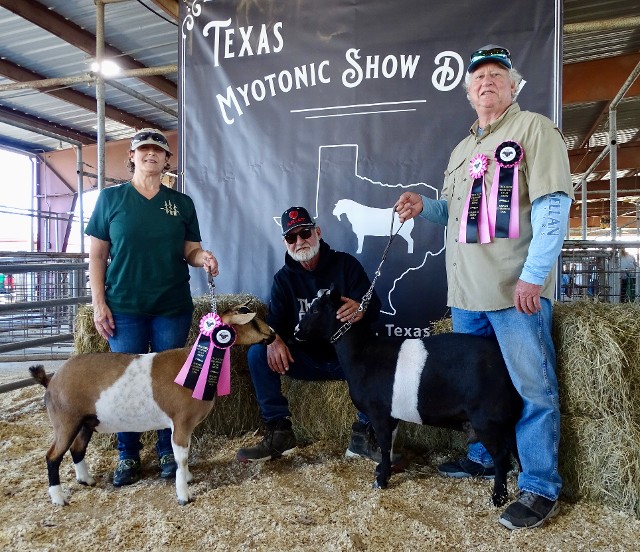 J-I Ziva & J-I Raven - 2023 Texas Myotonic Showdown